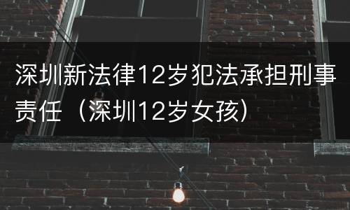深圳新法律12岁犯法承担刑事责任（深圳12岁女孩）