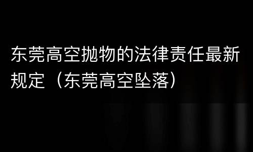 东莞高空抛物的法律责任最新规定（东莞高空坠落）