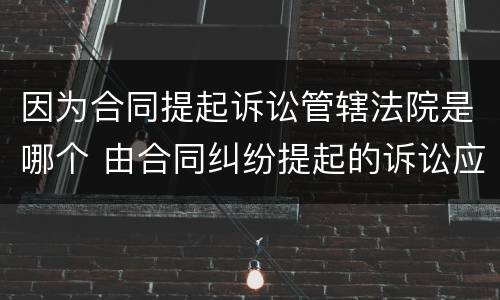 因为合同提起诉讼管辖法院是哪个 由合同纠纷提起的诉讼应由何地人民法院管辖