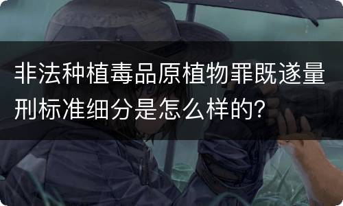 非法种植毒品原植物罪既遂量刑标准细分是怎么样的？
