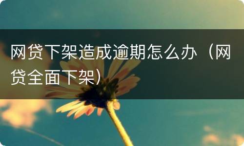网贷下架造成逾期怎么办（网贷全面下架）