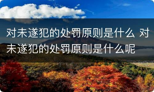 对未遂犯的处罚原则是什么 对未遂犯的处罚原则是什么呢