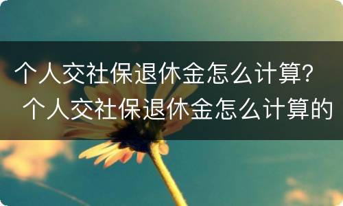 个人交社保退休金怎么计算？ 个人交社保退休金怎么计算的