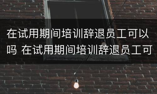 在试用期间培训辞退员工可以吗 在试用期间培训辞退员工可以吗合法吗