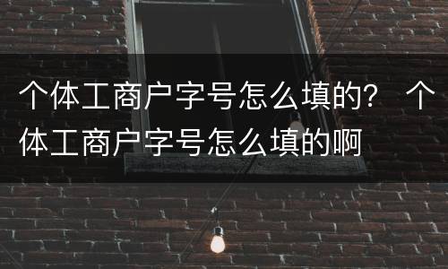 个体工商户字号怎么填的？ 个体工商户字号怎么填的啊