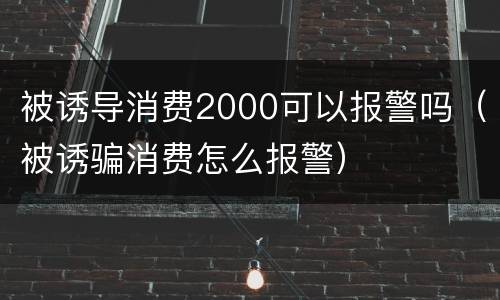 被诱导消费2000可以报警吗（被诱骗消费怎么报警）