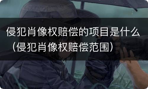 侵犯肖像权赔偿的项目是什么（侵犯肖像权赔偿范围）