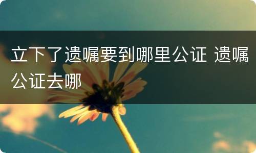 立下了遗嘱要到哪里公证 遗嘱公证去哪