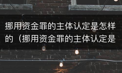 挪用资金罪的主体认定是怎样的（挪用资金罪的主体认定是怎样的情形）