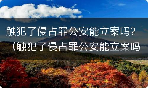 触犯了侵占罪公安能立案吗？（触犯了侵占罪公安能立案吗怎么处理）