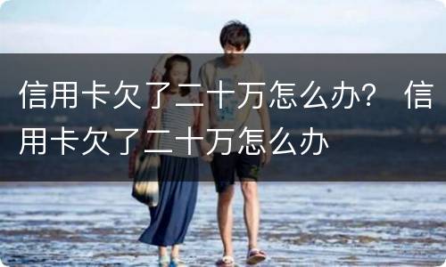 信用卡欠了二十万怎么办？ 信用卡欠了二十万怎么办