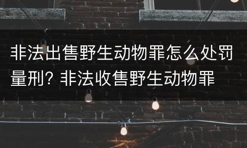 非法出售野生动物罪怎么处罚量刑? 非法收售野生动物罪