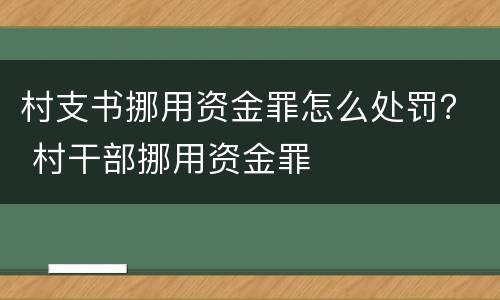 村支书挪用资金罪怎么处罚？ 村干部挪用资金罪