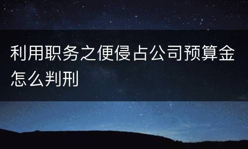 利用职务之便侵占公司预算金怎么判刑
