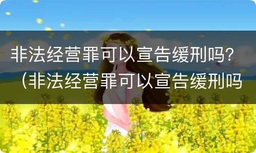 非法经营罪可以宣告缓刑吗？（非法经营罪可以宣告缓刑吗知乎）