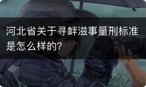 河北省关于寻衅滋事量刑标准是怎么样的？