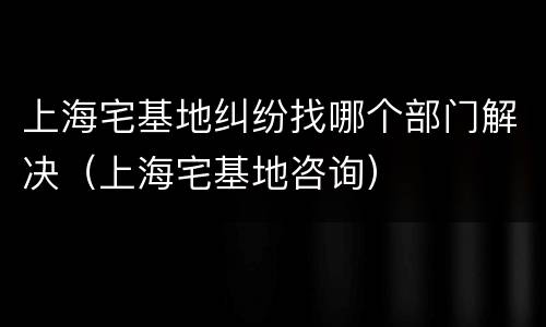 上海宅基地纠纷找哪个部门解决（上海宅基地咨询）