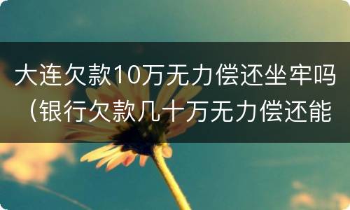 大连欠款10万无力偿还坐牢吗（银行欠款几十万无力偿还能坐牢吗）