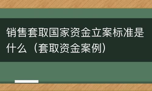 销售套取国家资金立案标准是什么（套取资金案例）