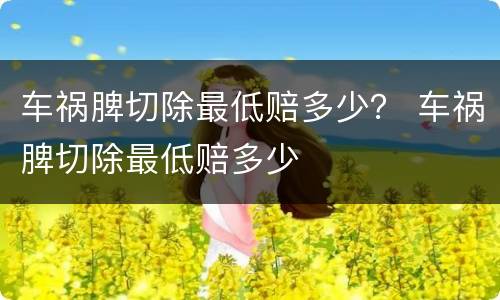 车祸脾切除最低赔多少？ 车祸脾切除最低赔多少