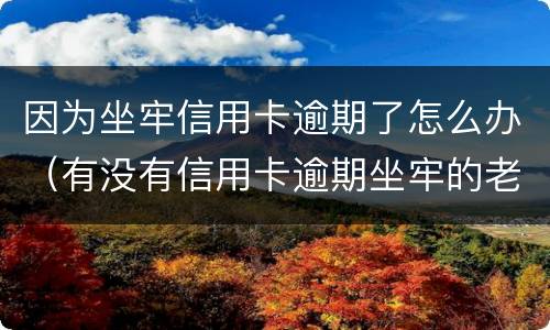 因为坐牢信用卡逾期了怎么办（有没有信用卡逾期坐牢的老哥）