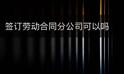 签订劳动合同分公司可以吗