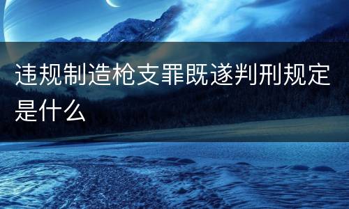 违规制造枪支罪既遂判刑规定是什么