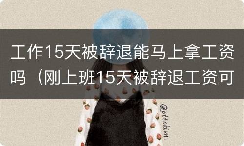 工作15天被辞退能马上拿工资吗（刚上班15天被辞退工资可以等到下个月发么）