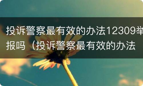 投诉警察最有效的办法12309举报吗（投诉警察最有效的办法12309举报吗有用吗）
