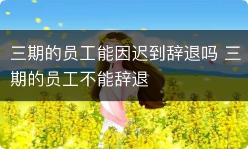 三期的员工能因迟到辞退吗 三期的员工不能辞退