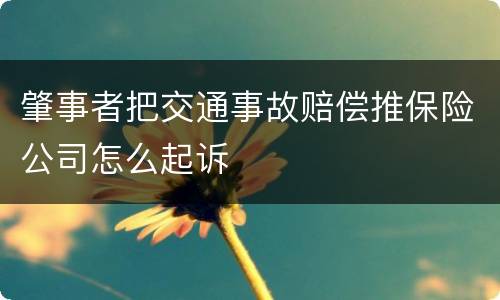 肇事者把交通事故赔偿推保险公司怎么起诉