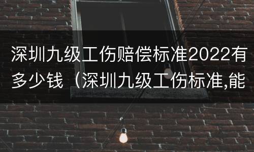 深圳九级工伤赔偿标准2022有多少钱（深圳九级工伤标准,能赔偿多少钱?）