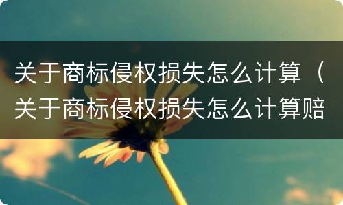 关于商标侵权损失怎么计算（关于商标侵权损失怎么计算赔偿）
