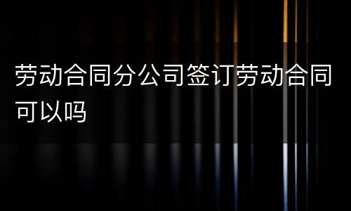 劳动合同分公司签订劳动合同可以吗