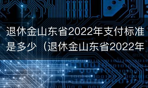 退休金山东省2022年支付标准是多少（退休金山东省2022年支付标准是多少钱）