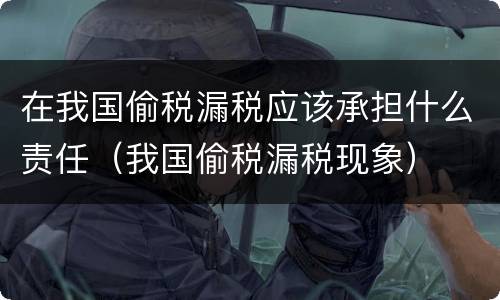 在我国偷税漏税应该承担什么责任（我国偷税漏税现象）