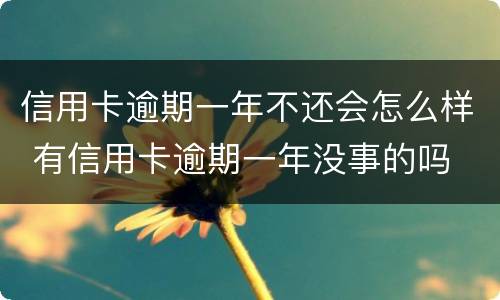 信用卡逾期一年不还会怎么样 有信用卡逾期一年没事的吗