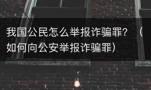 我国公民怎么举报诈骗罪？（如何向公安举报诈骗罪）