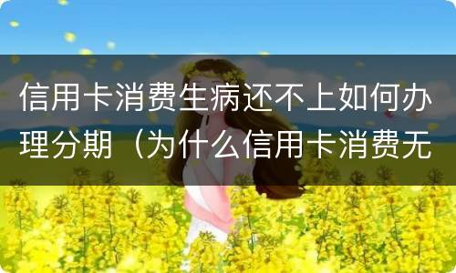 信用卡消费生病还不上如何办理分期（为什么信用卡消费无法分期）