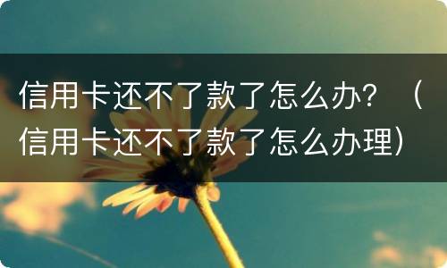 信用卡还不了款了怎么办？（信用卡还不了款了怎么办理）