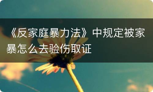 《反家庭暴力法》中规定被家暴怎么去验伤取证