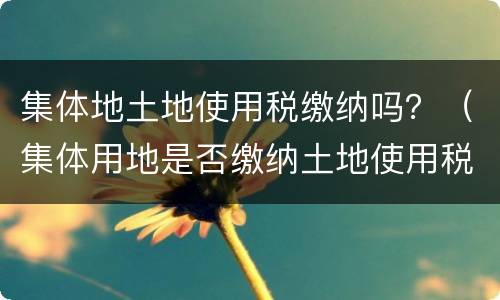 集体地土地使用税缴纳吗？（集体用地是否缴纳土地使用税）