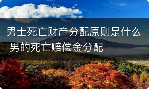 男士死亡财产分配原则是什么 男的死亡赔偿金分配