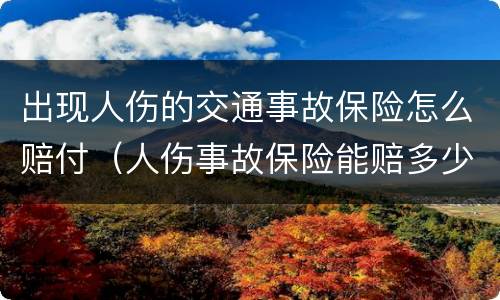 出现人伤的交通事故保险怎么赔付（人伤事故保险能赔多少）
