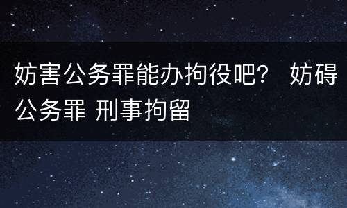 妨害公务罪能办拘役吧？ 妨碍公务罪 刑事拘留