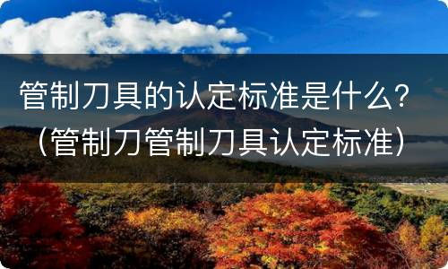 管制刀具的认定标准是什么？（管制刀管制刀具认定标准）