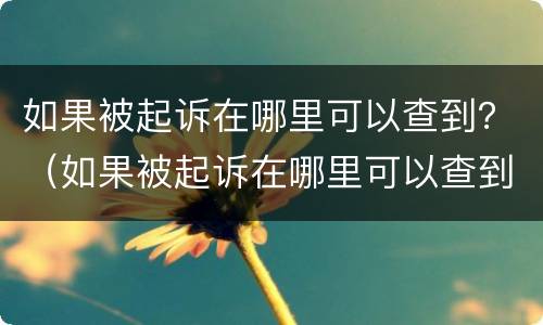 如果被起诉在哪里可以查到？（如果被起诉在哪里可以查到）