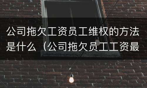 公司拖欠工资员工维权的方法是什么（公司拖欠员工工资最快最直接的解决）