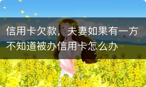 信用卡欠款，夫妻如果有一方不知道被办信用卡怎么办