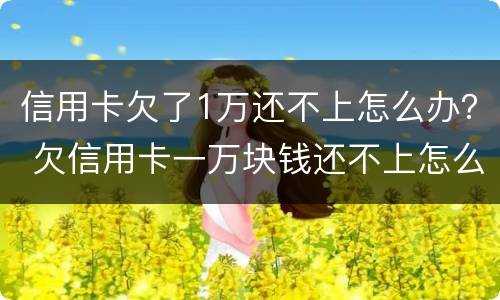 信用卡欠了1万还不上怎么办？ 欠信用卡一万块钱还不上怎么办